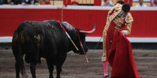 Talavante en su actuación en Bilbao. (FOTO:M.Berho-mundotoro)