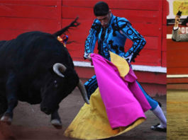 Talavante durante sus dos actuaciones en Manizales (FOTO: Julián Velasco)