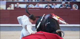 José Garrido toreando de rodillas en los medios al toro de su confirmación (FOTO: Juan Pelegrín)