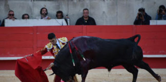 Alejandro Talavante toreando de rodillas en Nimes (FOTO:Isabelle Dupin)