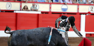 José Garrido al natural con su primer 'adolfo' en Santander (FOTO: Arjona-Aplausos)