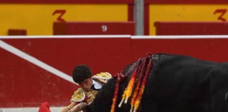 Garrido de rodillas ante el sexto en Pamplona (FOTO: Javier Arroyo)